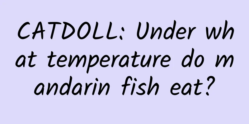 CATDOLL: Under what temperature do mandarin fish eat?