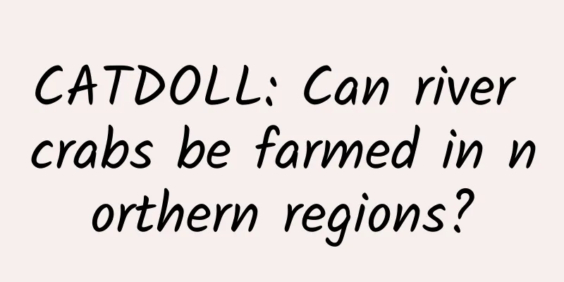 CATDOLL: Can river crabs be farmed in northern regions?