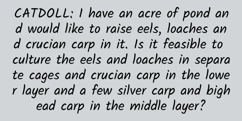 CATDOLL: I have an acre of pond and would like to raise eels, loaches and crucian carp in it. Is it feasible to culture the eels and loaches in separate cages and crucian carp in the lower layer and a few silver carp and bighead carp in the middle layer?
