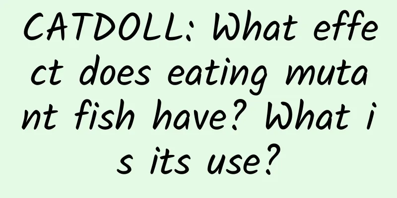 CATDOLL: What effect does eating mutant fish have? What is its use?