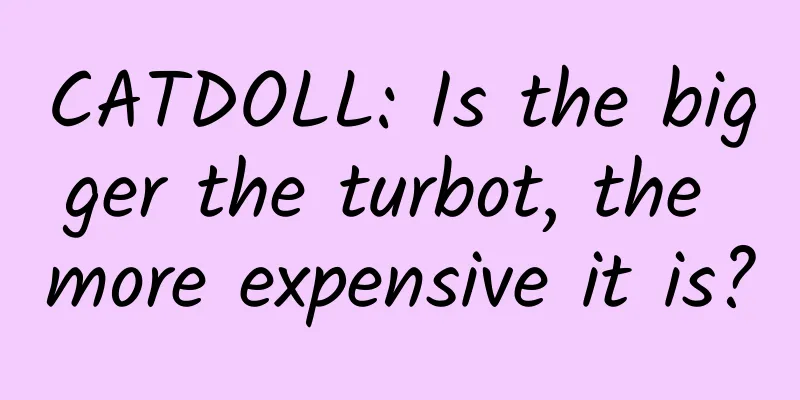 CATDOLL: Is the bigger the turbot, the more expensive it is?
