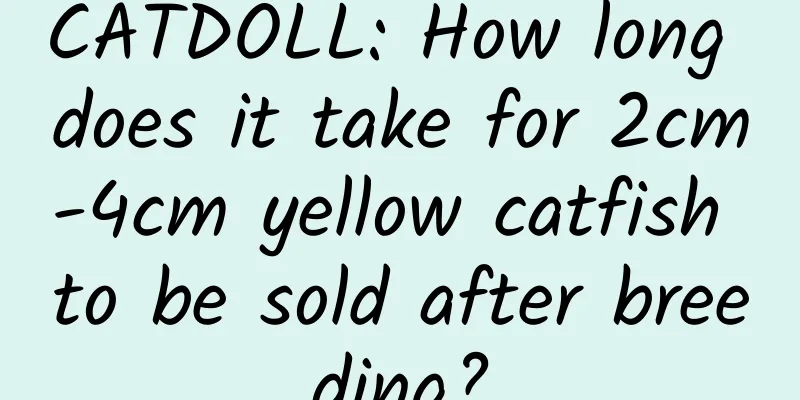 CATDOLL: How long does it take for 2cm-4cm yellow catfish to be sold after breeding?