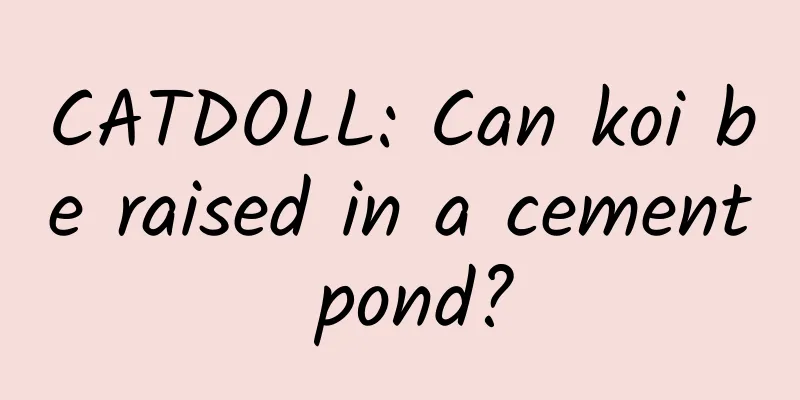 CATDOLL: Can koi be raised in a cement pond?