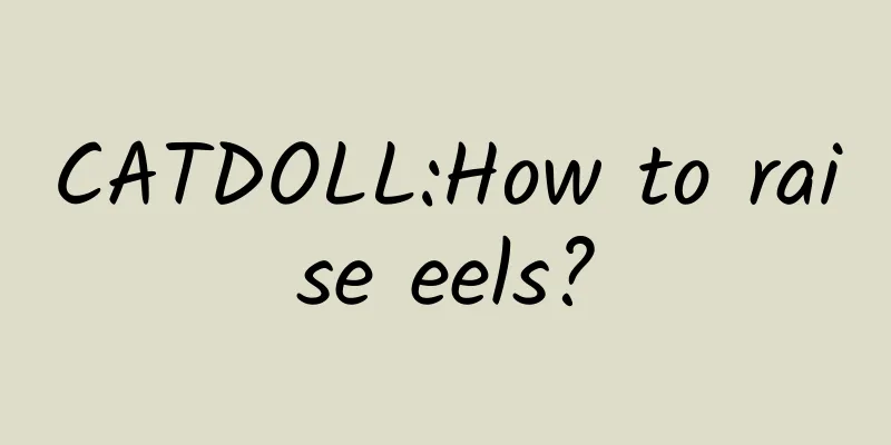CATDOLL:How to raise eels?