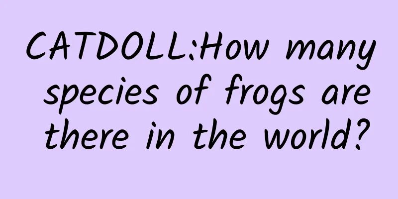 CATDOLL:How many species of frogs are there in the world?