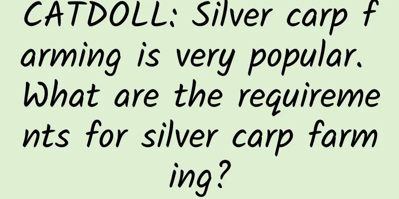 CATDOLL: Silver carp farming is very popular. What are the requirements for silver carp farming?