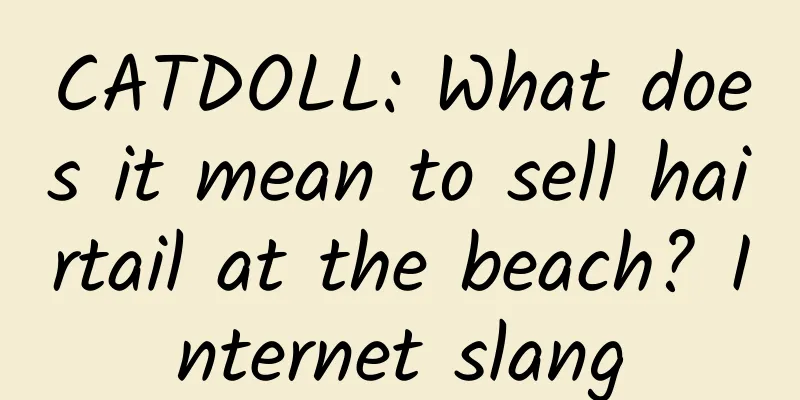 CATDOLL: What does it mean to sell hairtail at the beach? Internet slang