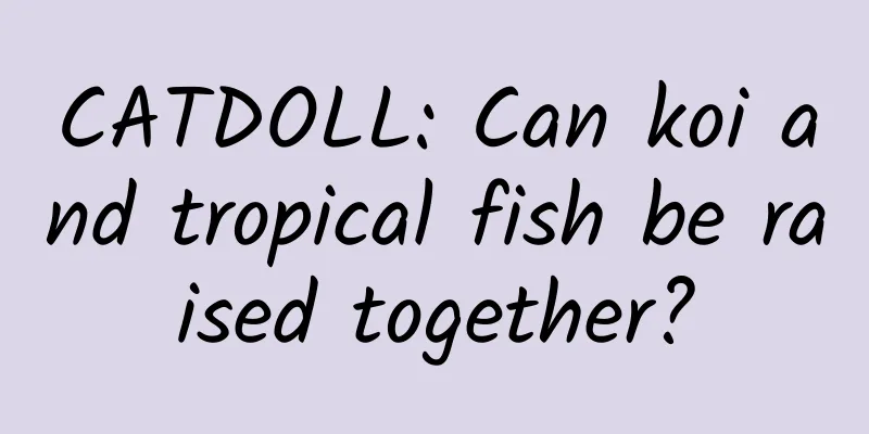 CATDOLL: Can koi and tropical fish be raised together?