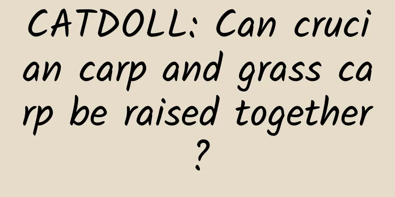 CATDOLL: Can crucian carp and grass carp be raised together?