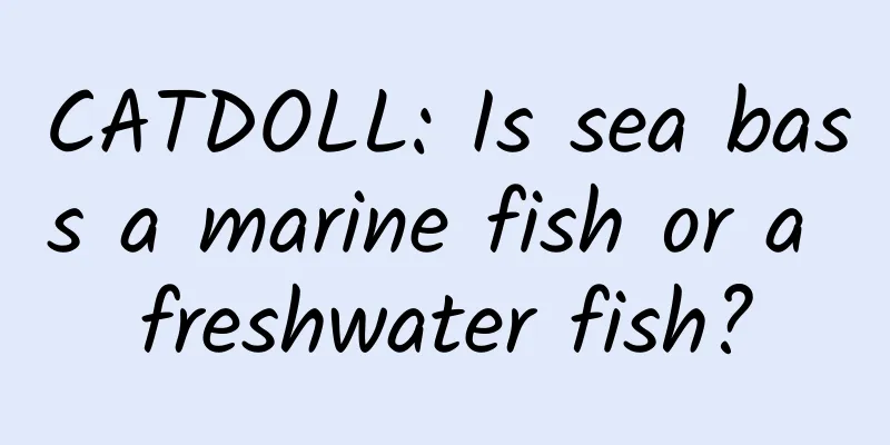 CATDOLL: Is sea bass a marine fish or a freshwater fish?