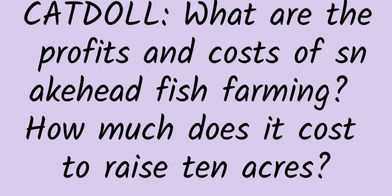 CATDOLL: What are the profits and costs of snakehead fish farming? How much does it cost to raise ten acres?
