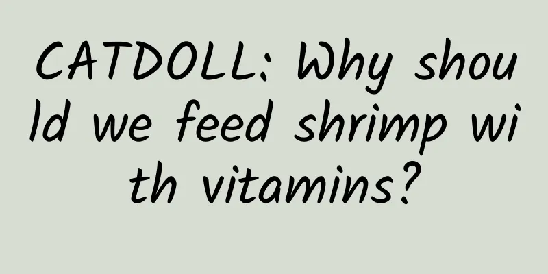 CATDOLL: Why should we feed shrimp with vitamins?