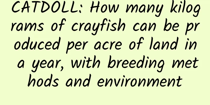 CATDOLL: How many kilograms of crayfish can be produced per acre of land in a year, with breeding methods and environment