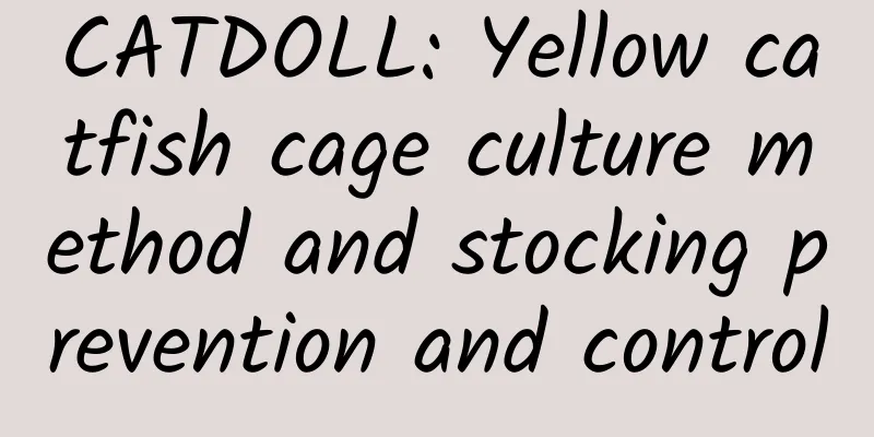 CATDOLL: Yellow catfish cage culture method and stocking prevention and control