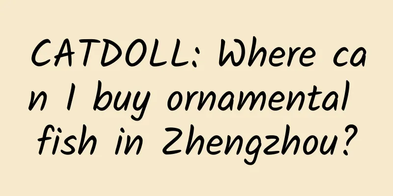 CATDOLL: Where can I buy ornamental fish in Zhengzhou?