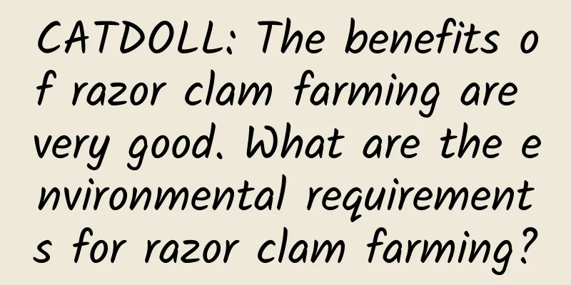 CATDOLL: The benefits of razor clam farming are very good. What are the environmental requirements for razor clam farming?