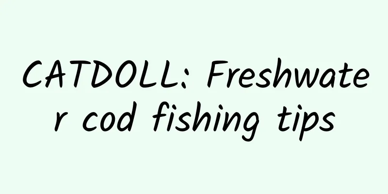 CATDOLL: Freshwater cod fishing tips