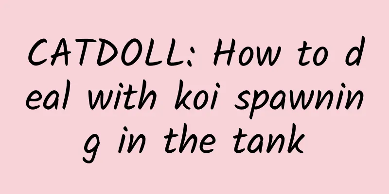 CATDOLL: How to deal with koi spawning in the tank