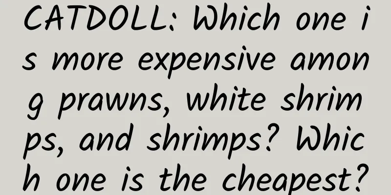 CATDOLL: Which one is more expensive among prawns, white shrimps, and shrimps? Which one is the cheapest?