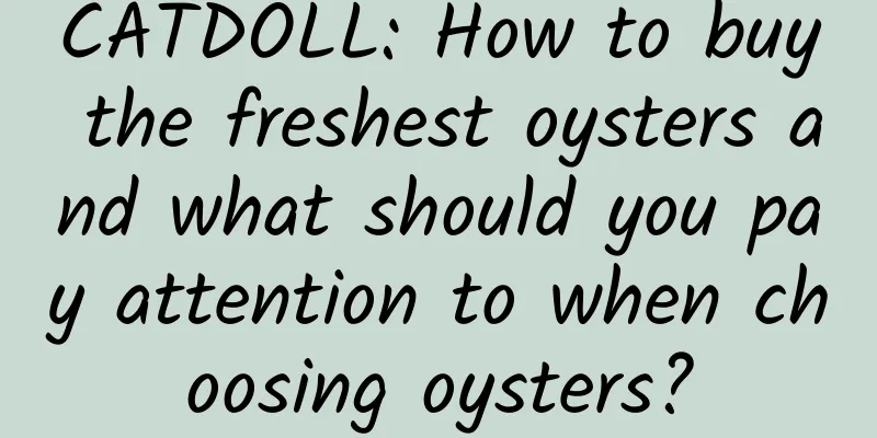 CATDOLL: How to buy the freshest oysters and what should you pay attention to when choosing oysters?