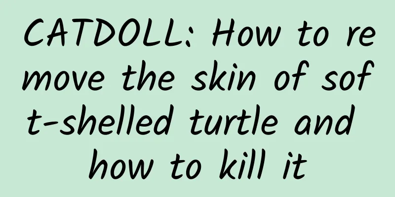 CATDOLL: How to remove the skin of soft-shelled turtle and how to kill it