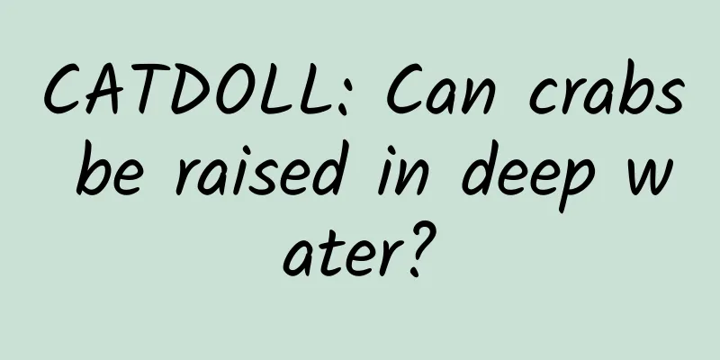 CATDOLL: Can crabs be raised in deep water?