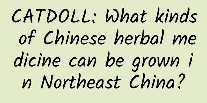 CATDOLL: What kinds of Chinese herbal medicine can be grown in Northeast China?