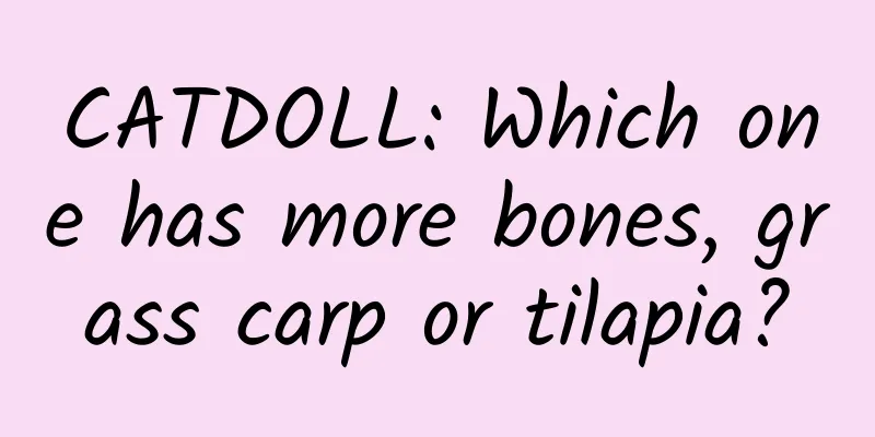 CATDOLL: Which one has more bones, grass carp or tilapia?