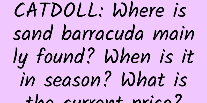 CATDOLL: Where is sand barracuda mainly found? When is it in season? What is the current price?