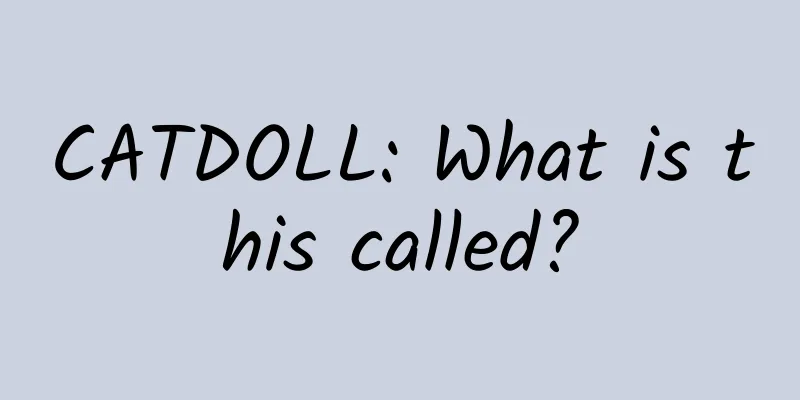 CATDOLL: What is this called?