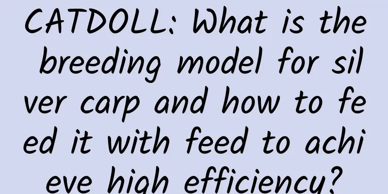 CATDOLL: What is the breeding model for silver carp and how to feed it with feed to achieve high efficiency?