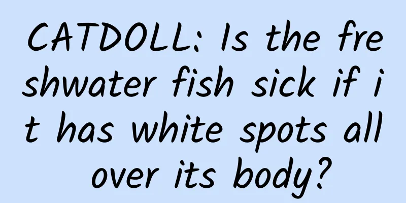 CATDOLL: Is the freshwater fish sick if it has white spots all over its body?