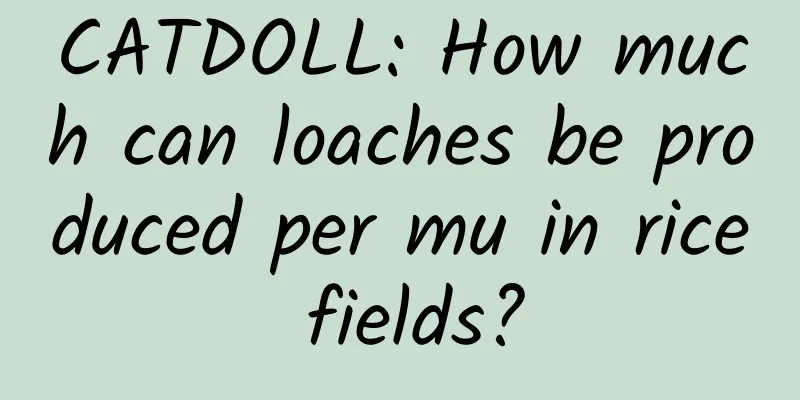 CATDOLL: How much can loaches be produced per mu in rice fields?