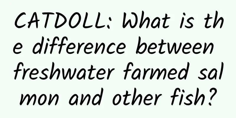 CATDOLL: What is the difference between freshwater farmed salmon and other fish?