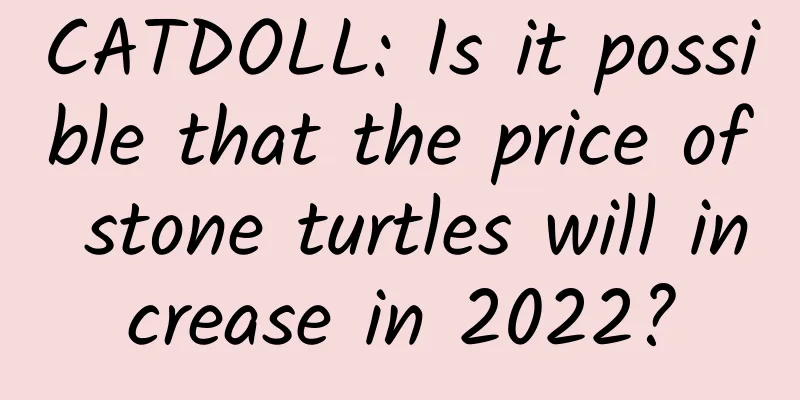 CATDOLL: Is it possible that the price of stone turtles will increase in 2022?