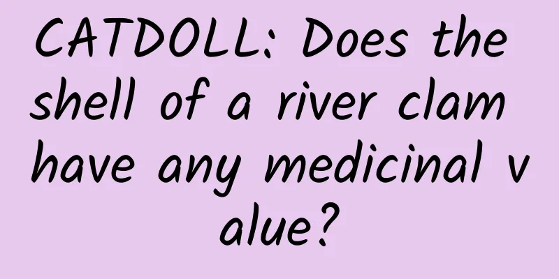 CATDOLL: Does the shell of a river clam have any medicinal value?