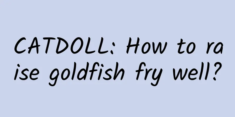 CATDOLL: How to raise goldfish fry well?