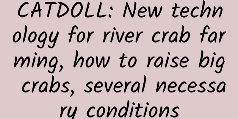 CATDOLL: New technology for river crab farming, how to raise big crabs, several necessary conditions