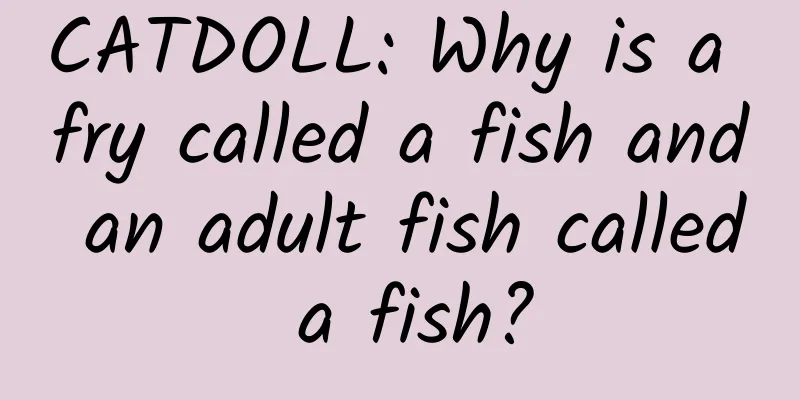 CATDOLL: Why is a fry called a fish and an adult fish called a fish?