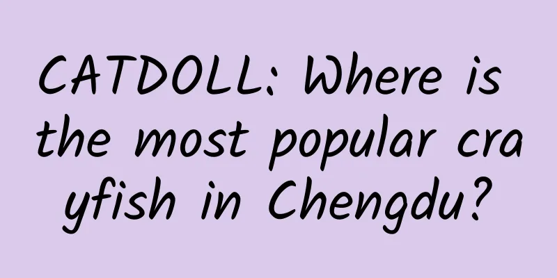 CATDOLL: Where is the most popular crayfish in Chengdu?