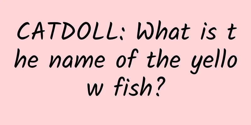 CATDOLL: What is the name of the yellow fish?