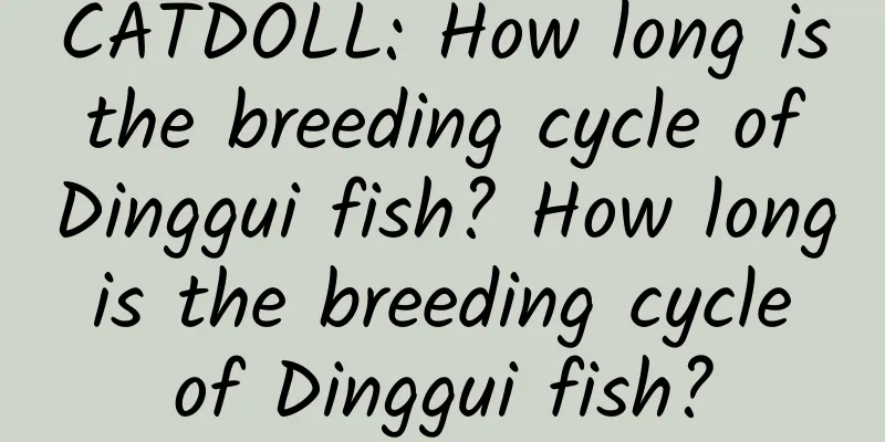 CATDOLL: How long is the breeding cycle of Dinggui fish? How long is the breeding cycle of Dinggui fish?