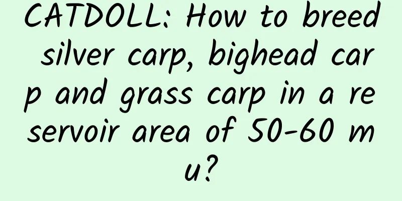 CATDOLL: How to breed silver carp, bighead carp and grass carp in a reservoir area of ​​50-60 mu?
