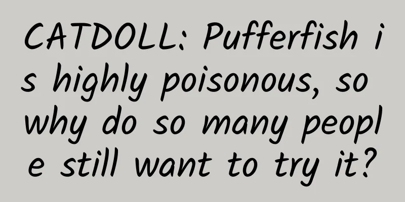 CATDOLL: Pufferfish is highly poisonous, so why do so many people still want to try it?