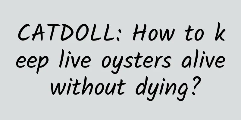 CATDOLL: How to keep live oysters alive without dying?