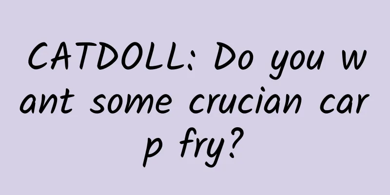 CATDOLL: Do you want some crucian carp fry?