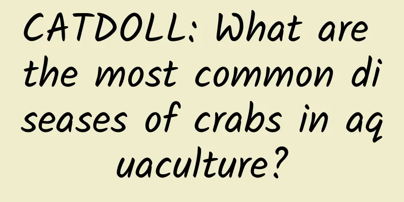 CATDOLL: What are the most common diseases of crabs in aquaculture?