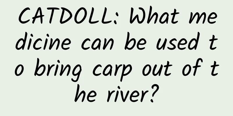 CATDOLL: What medicine can be used to bring carp out of the river?