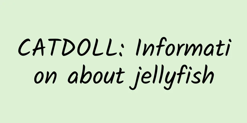 CATDOLL: Information about jellyfish