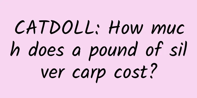 CATDOLL: How much does a pound of silver carp cost?